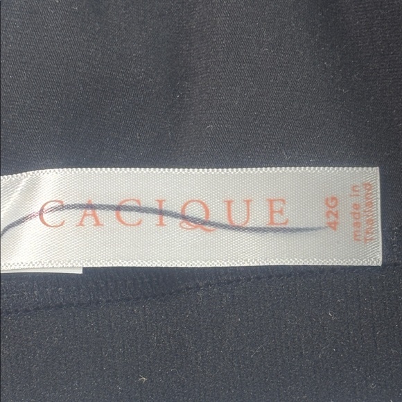 NWT Cacique Lane Bryant Womans T-Shirt Bra Black Lightly Lined NO WIRE 42G - Picture 9 of 11